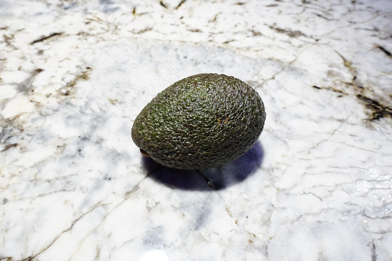 avocado, fruit, persea americana, keto, hass, dark green, keto, keto, keto, keto, keto